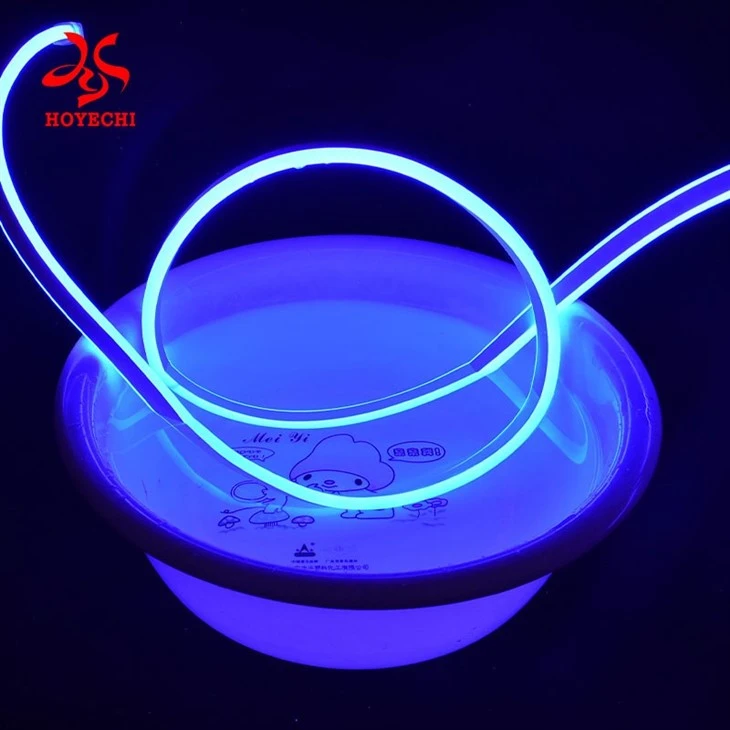 HOYECHI Smart Phone APP-Control Outdoor Waterproof IP65 Rope Light For Courtyard Decor
